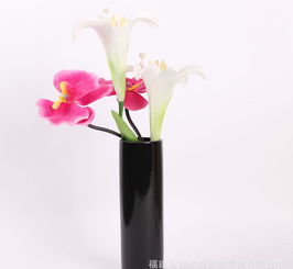 現(xiàn)代簡約陶瓷工藝品花瓶 價格、廠家與搭配指南