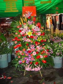 綻放的藝術(shù) 一站式鮮花綠植服務(wù)與展臺(tái)設(shè)計(jì)搭建解決方案