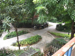 廈門(mén)吉利園 匠心獨(dú)運(yùn)，盆景藝術(shù)點(diǎn)亮花卉世界