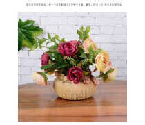 探秘花卉產(chǎn)品庫(kù) 從傳統(tǒng)審美到科技創(chuàng)新的綠色世界